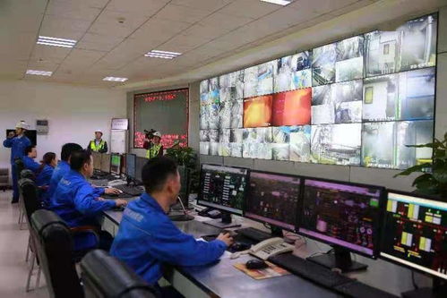 科技賦能,山旮旯崛起 綠工廠